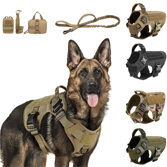 PETRAVEL Dog Harness Leash Set For Training And Walking