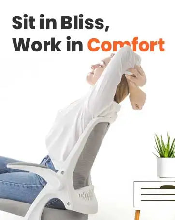 Neo Chair Ergonomic Adjustable Home Office Desk Chair