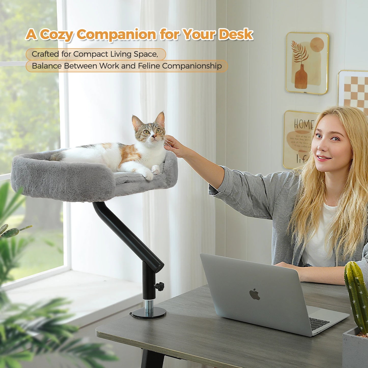PAWZ Road Cat Desk Bed 360 Degree Rotatable Stand For Indoor Cats