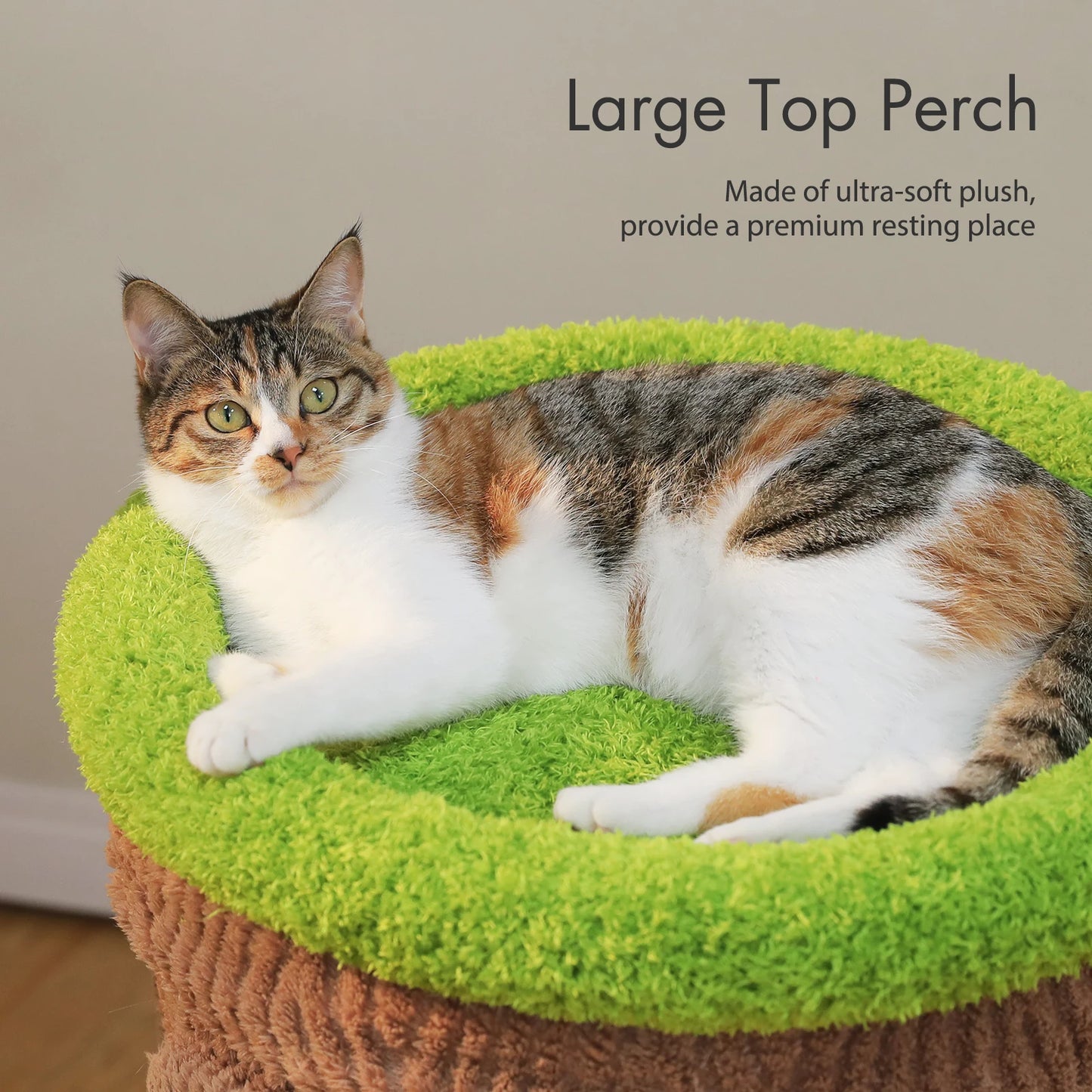 PAWZ Road Multilevel Cat Tree With Condos And Scratching Posts