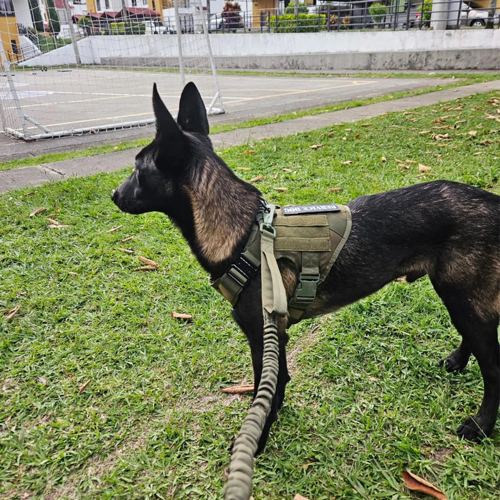 PETRAVEL Tactical Dog Harness Leash Set For Training And Walking