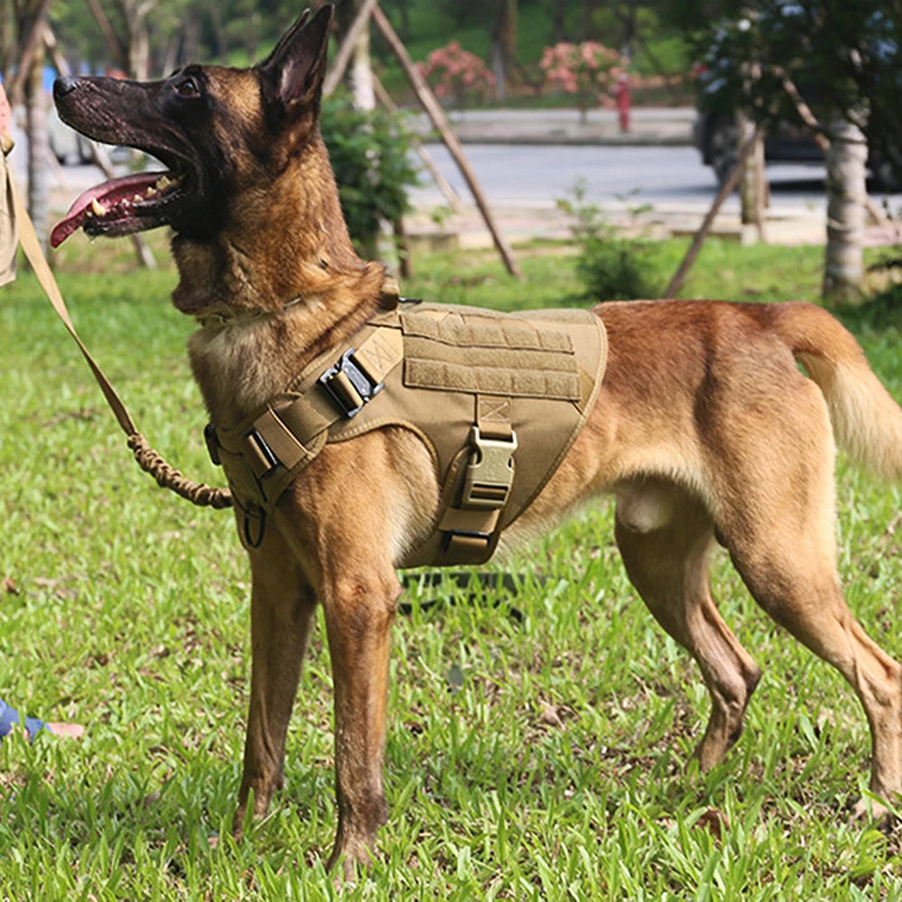 PETRAVEL Dog Harness Leash Set For Training And Walking