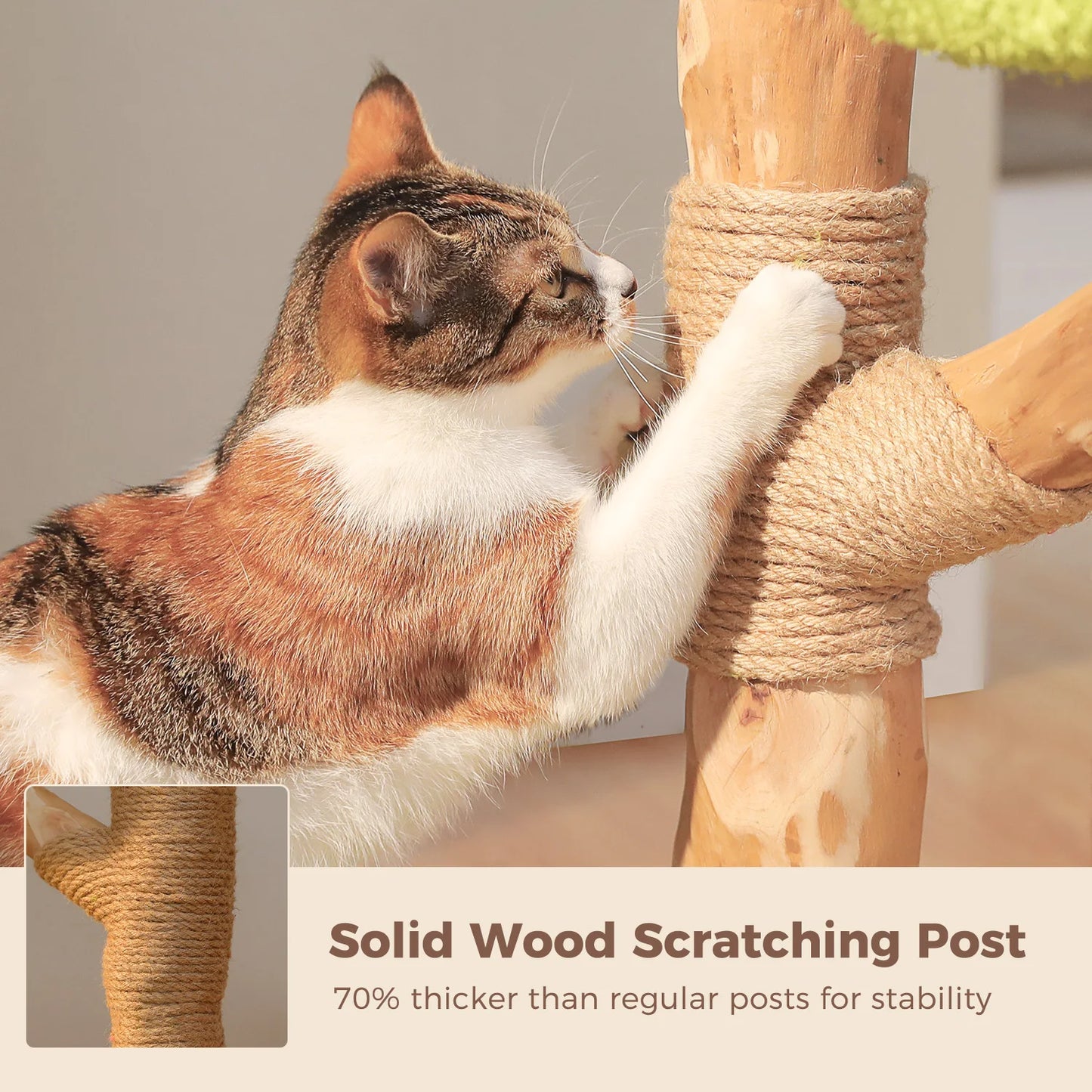 PAWZ Road Multilevel Cat Tree With Condos And Scratching Posts